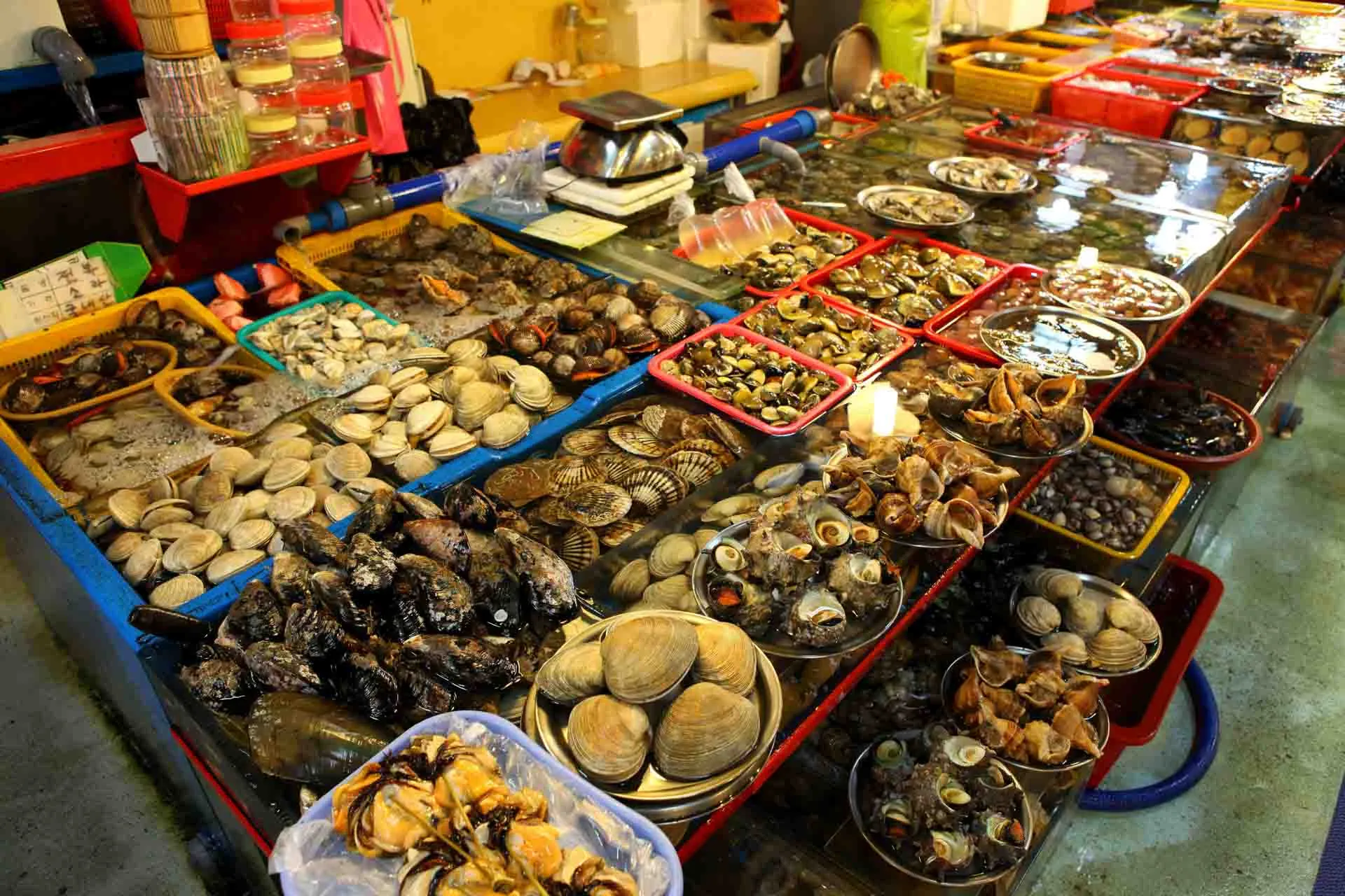 Skaldjursstånd på Jagalchi fiskmarknad i Busan