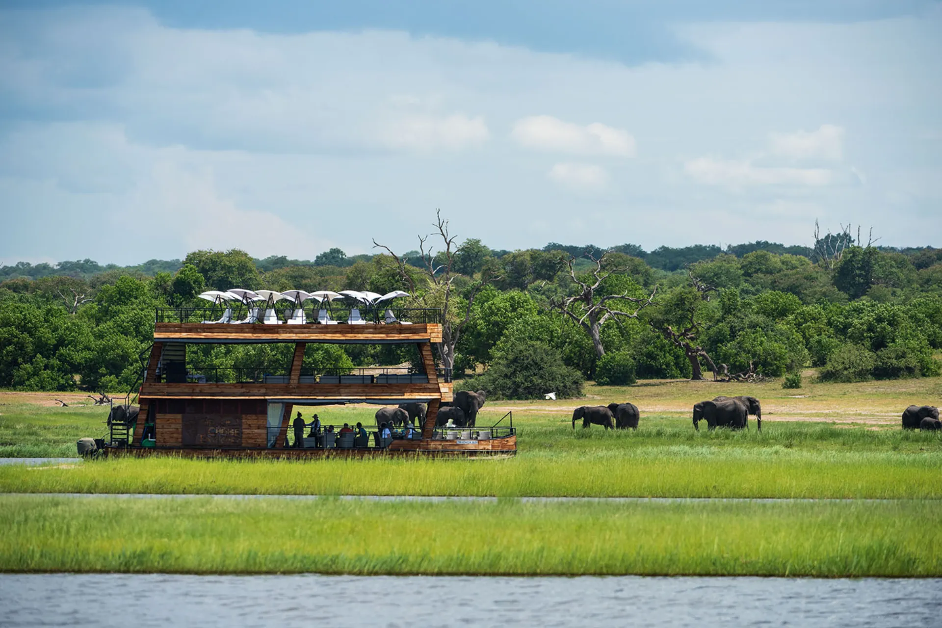 Från båten studeras de betande elefanterna på stranden