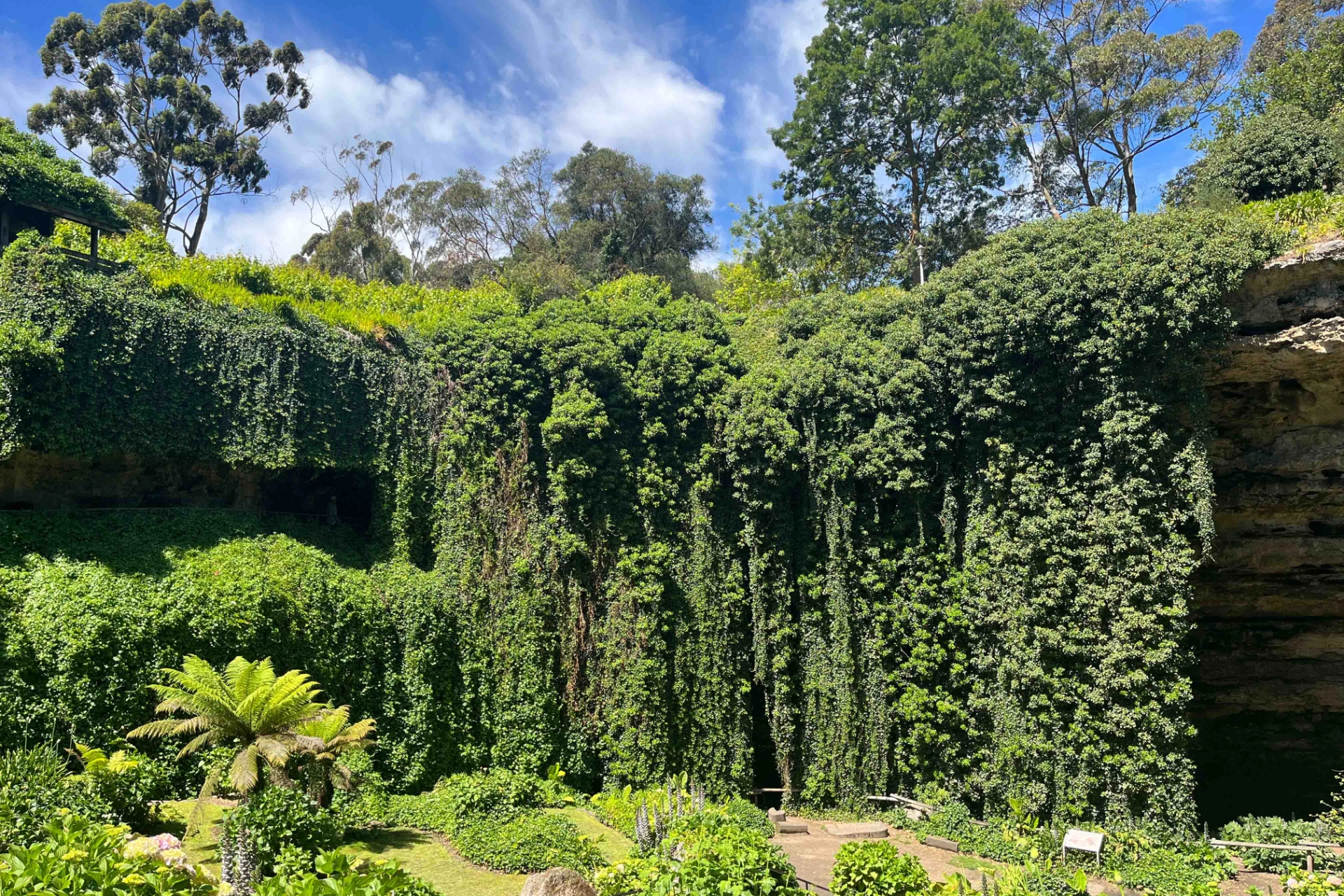 Umpherston Sinkhole, även känd som Sunken Garden, i Mount Gambier