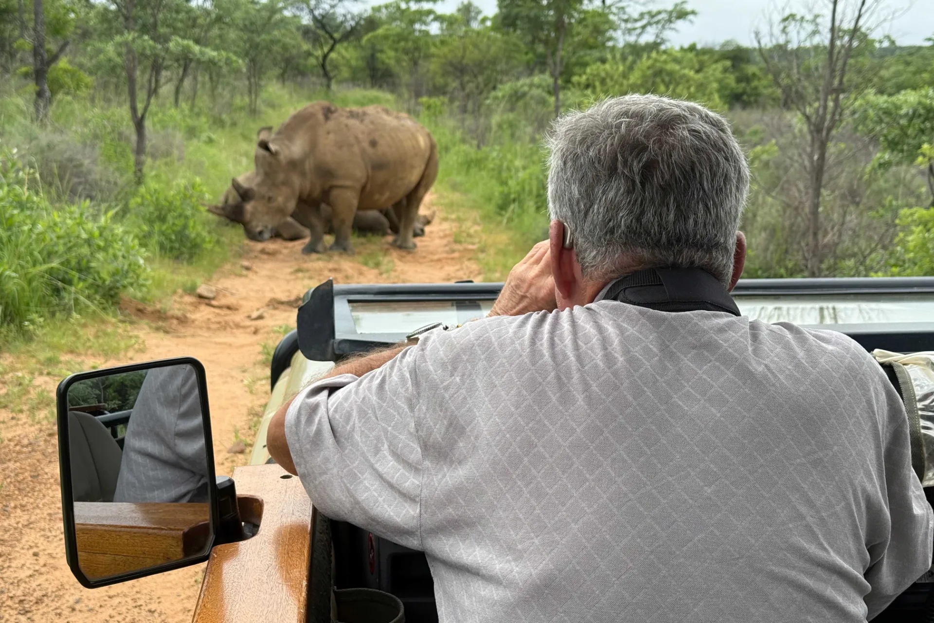 Noshörning på vägen