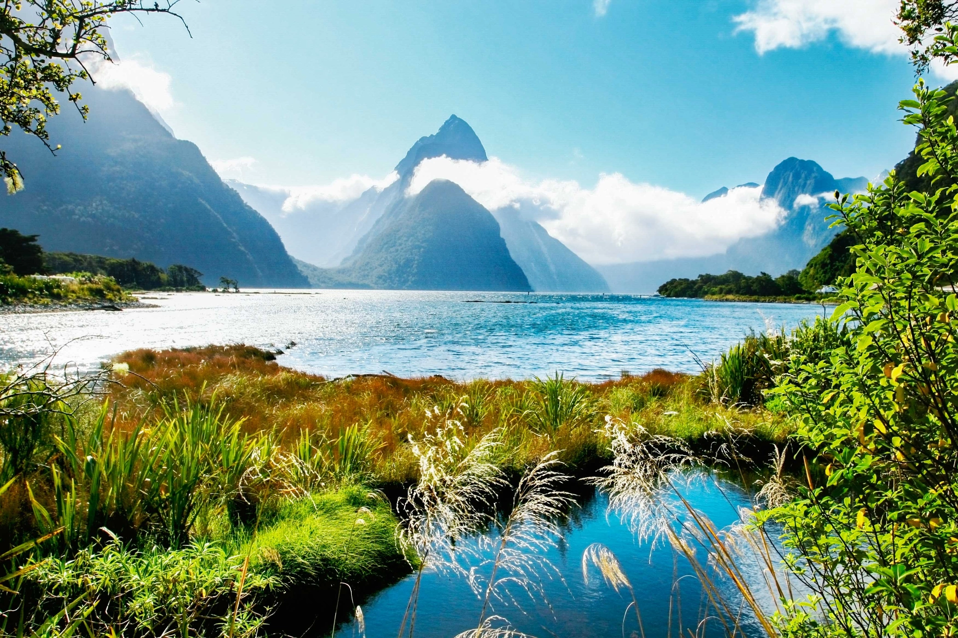 Milford Sound i Fiordland National Park med Mitre Peak i bakgrunden