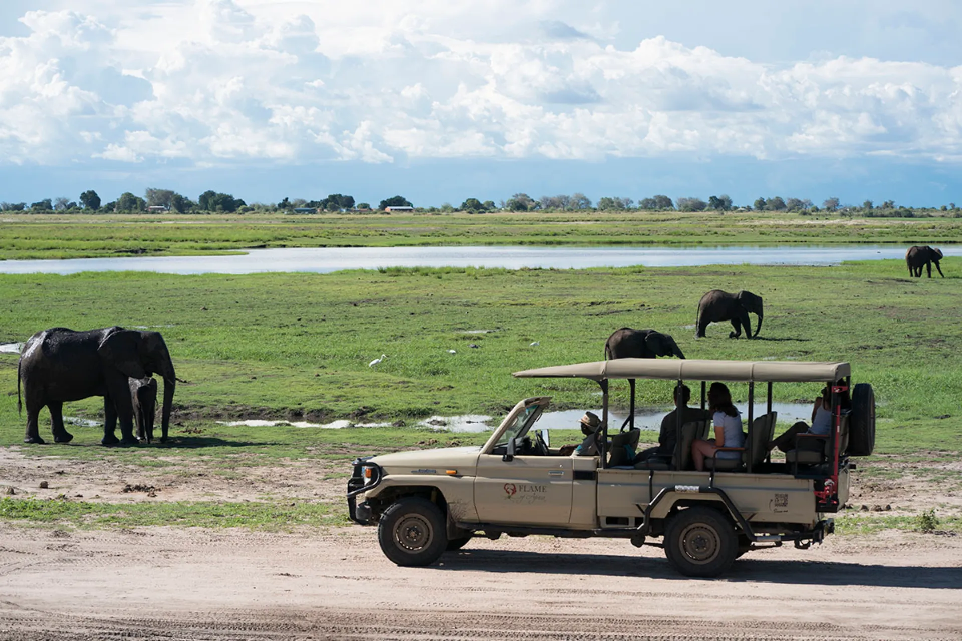 Elefanter, elefanter, elefanter…