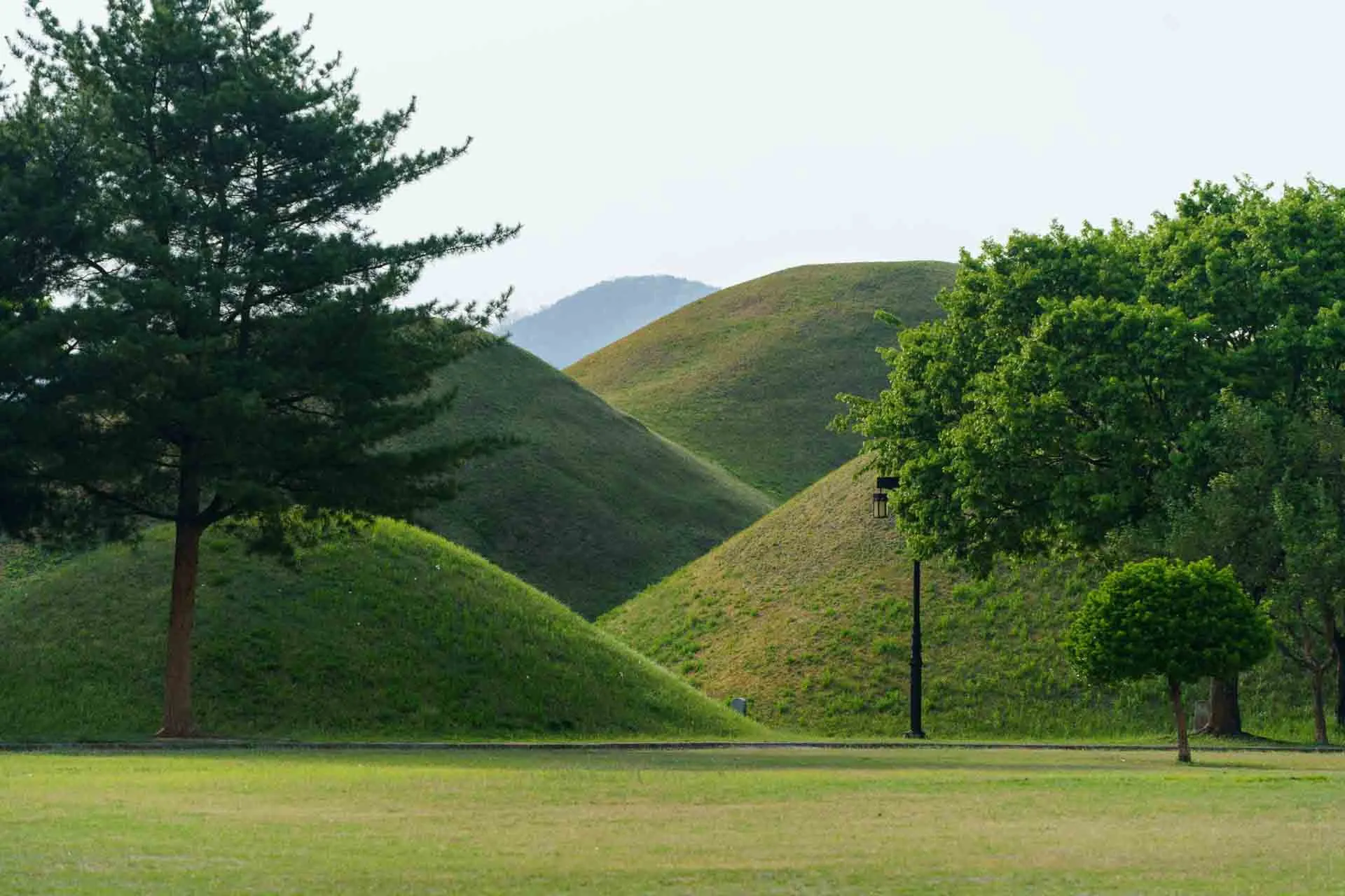 De imponerande gräsbevuxna gravhögarna i Daereungwon gravkomplex i Gyeongju