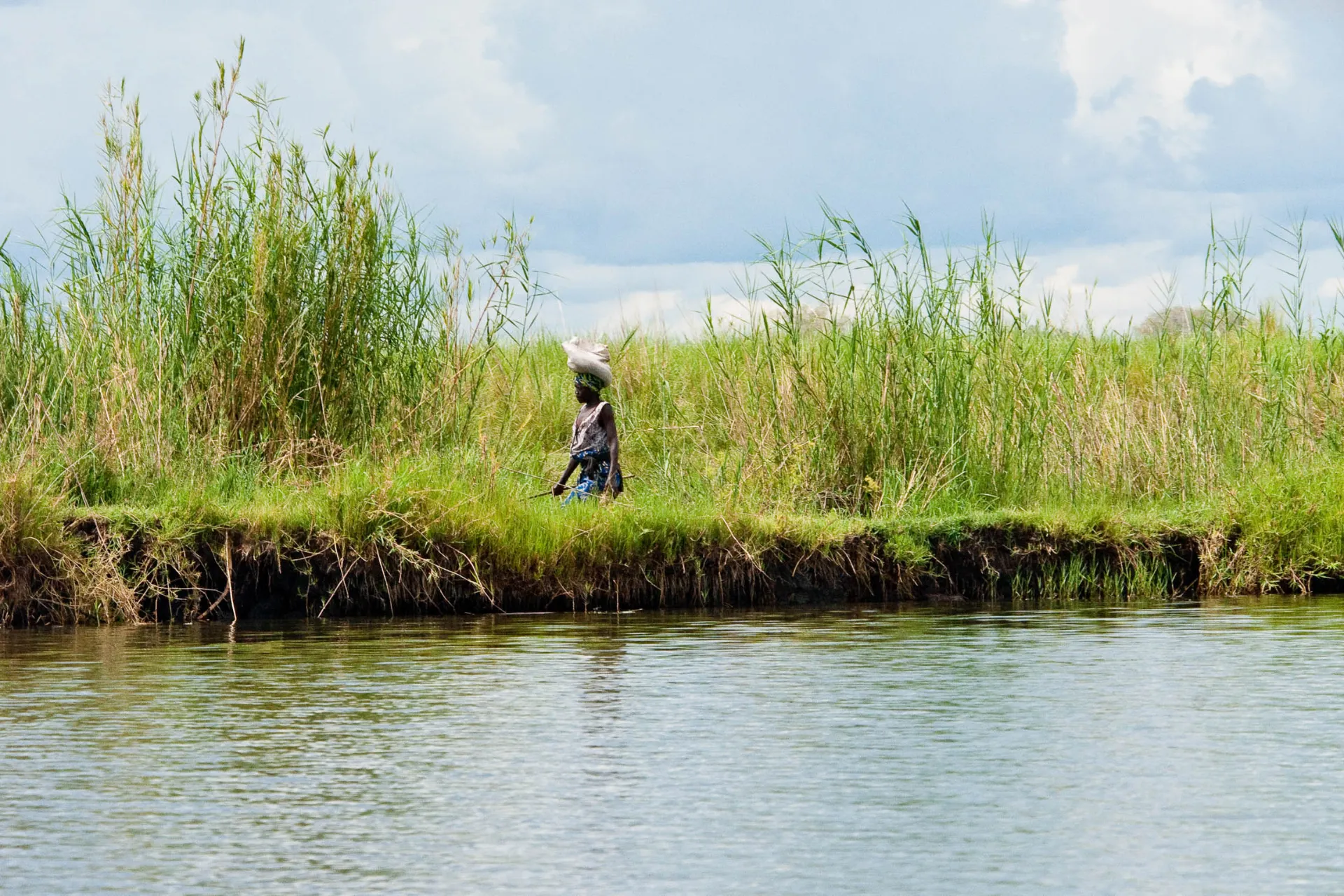 Kvinna vid flodstranden bär en säck på huvudet genom det höga gräset Kvinna vid flodstranden bär en säck på huvudet genom det höga gräset