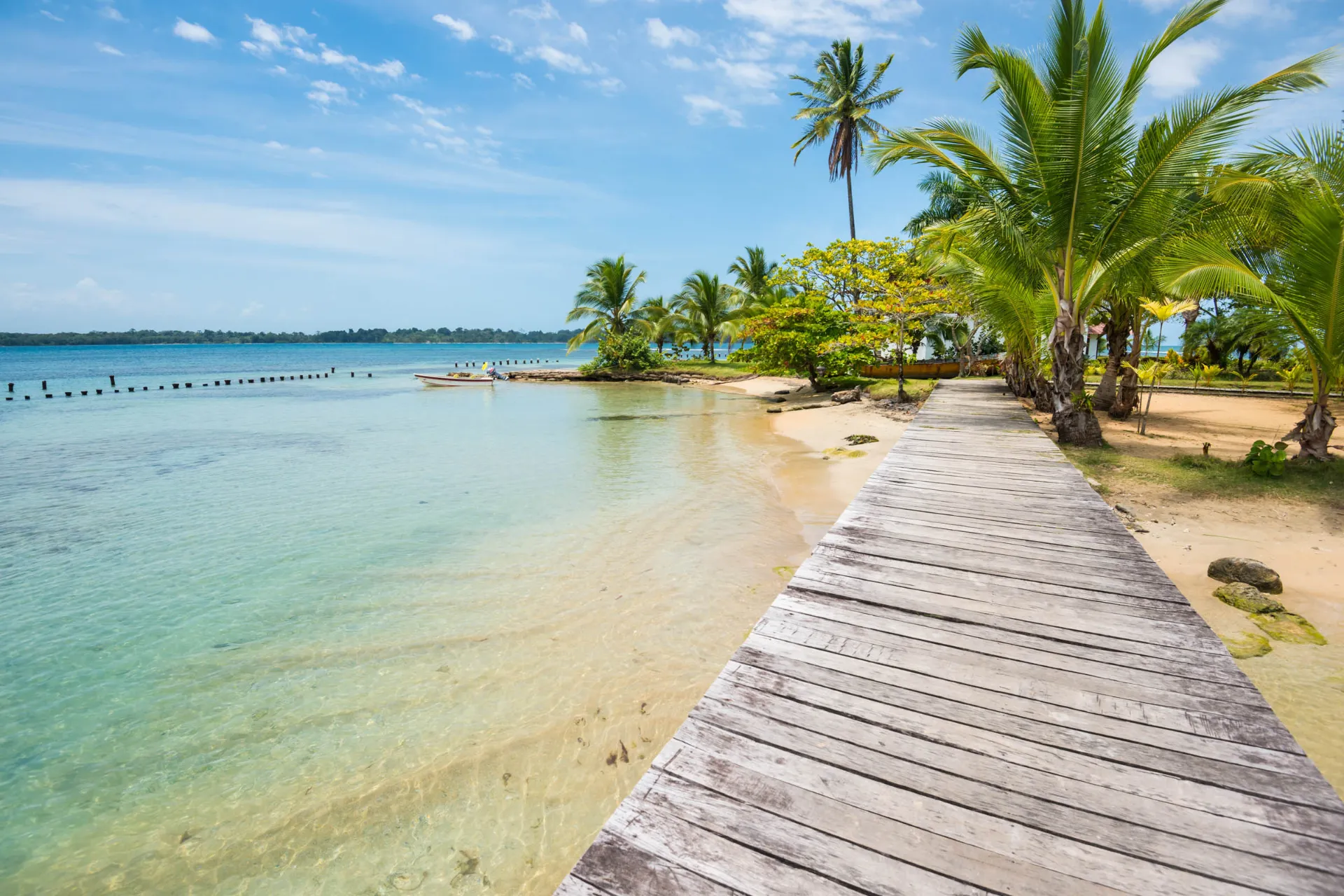 Strand vid Bocas del Toro i Panama Strand vid Bocas del Toro i Panama