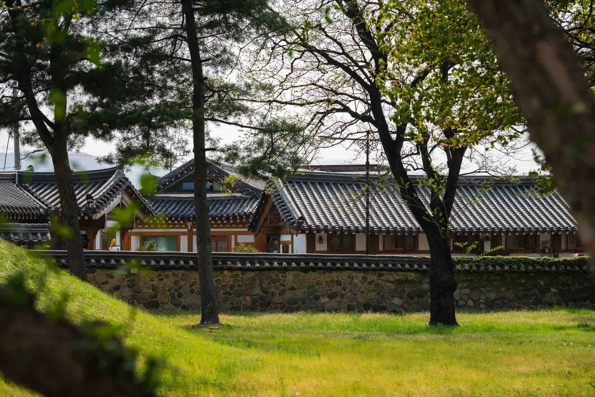 Gravkomplexet Daereungwon i Gyeongju