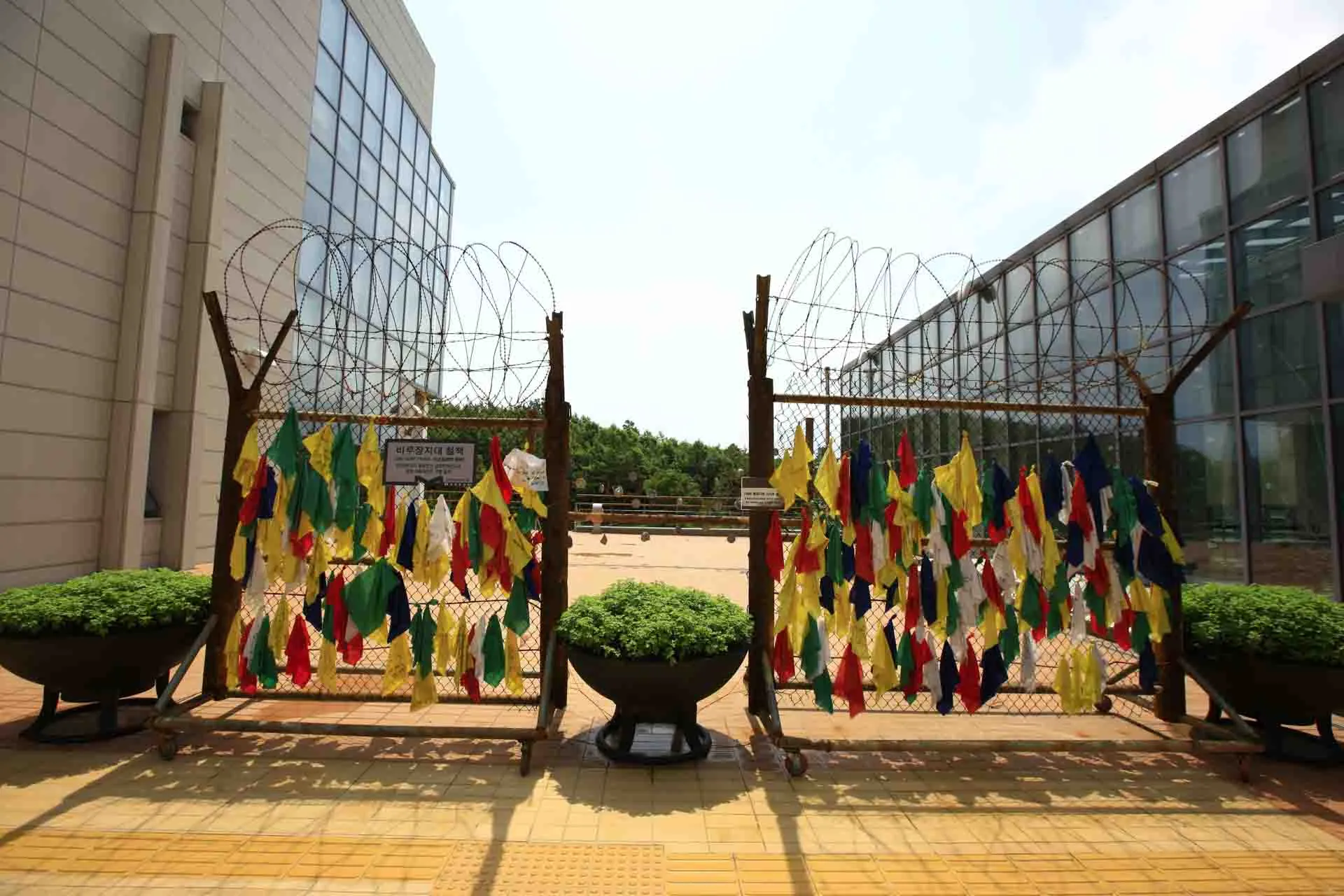 DMZ – färgglada band hängda på staketet symboliserar önskan om fred och återförening mellan Nord- och Sydkorea