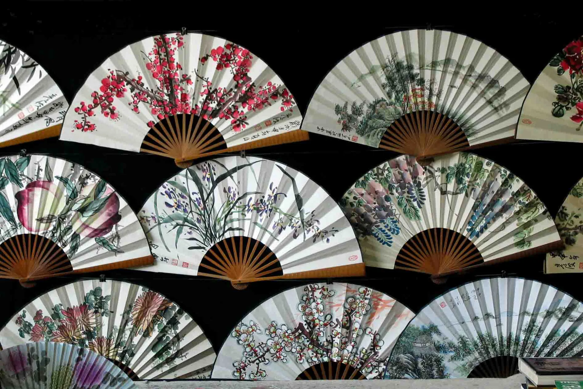 Kinesiska solfjädrar