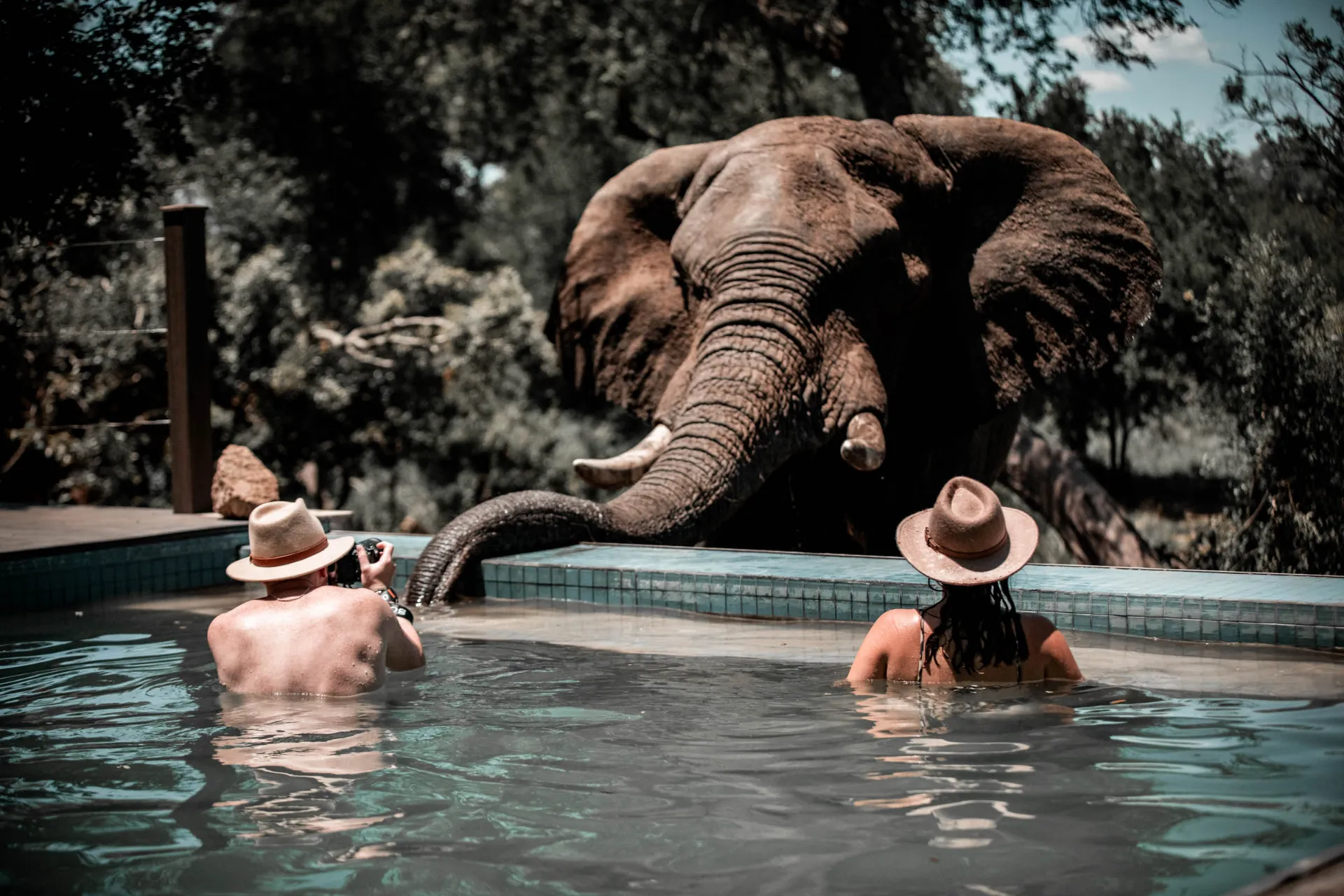 Närmare än så här kommer man nog inte? Närmare än så här kommer man nog inte?