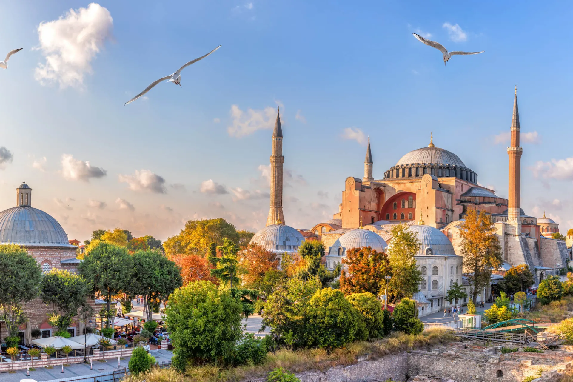 Hagia Sofia i Istanbul badad i kvällssol, omgiven av minareter och gröna träd Hagia Sofia i Istanbul badad i kvällssol, omgiven av minareter och gröna träd