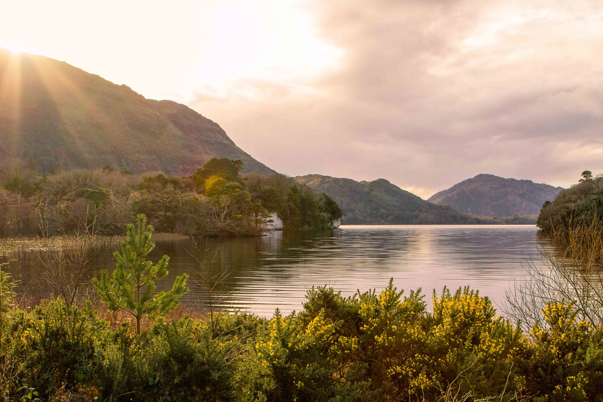Lakes of Killarney