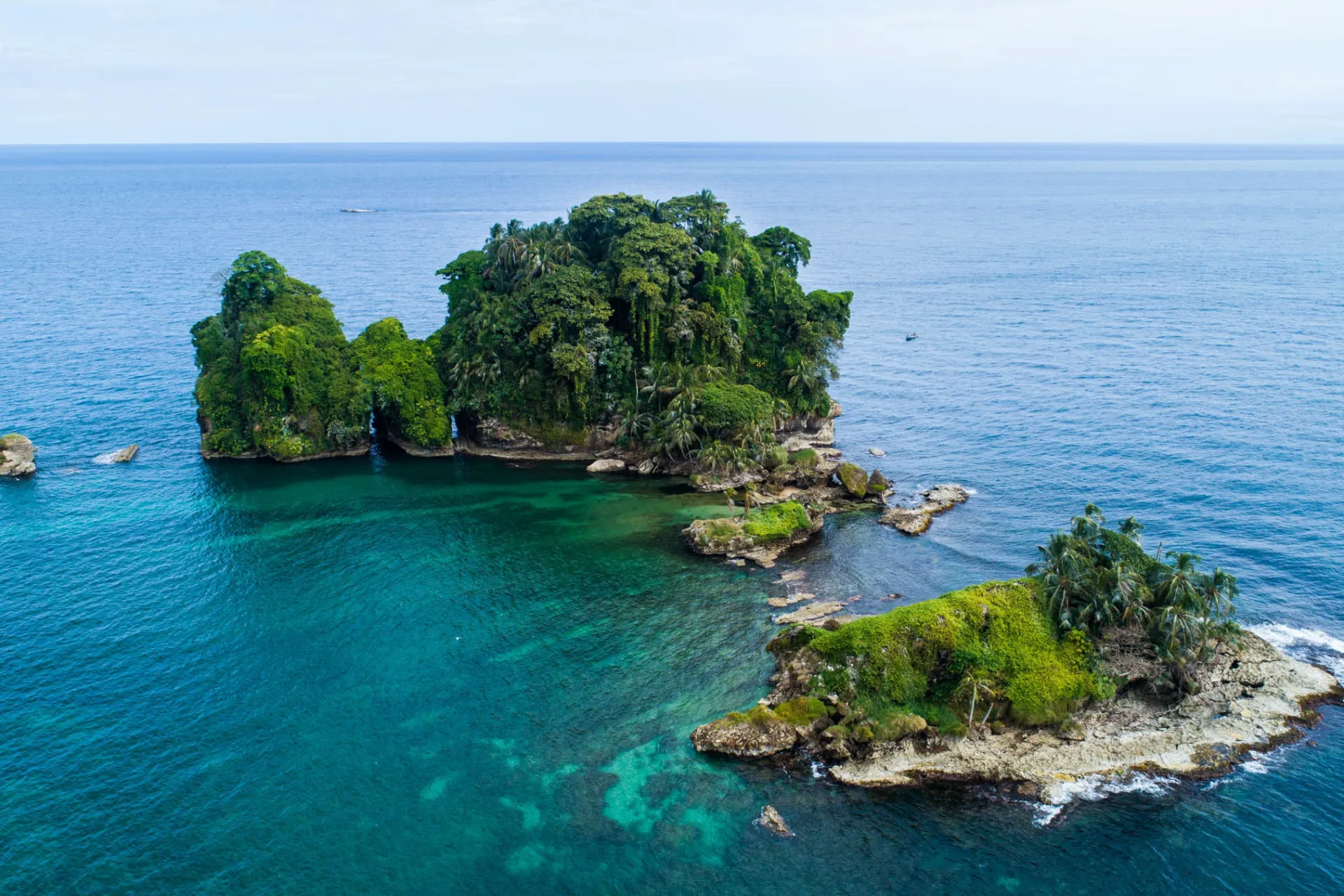 Bird Island vid Bocas del Toro har ett rikt fågelliv Bird Island vid Bocas del Toro har ett rikt fågelliv