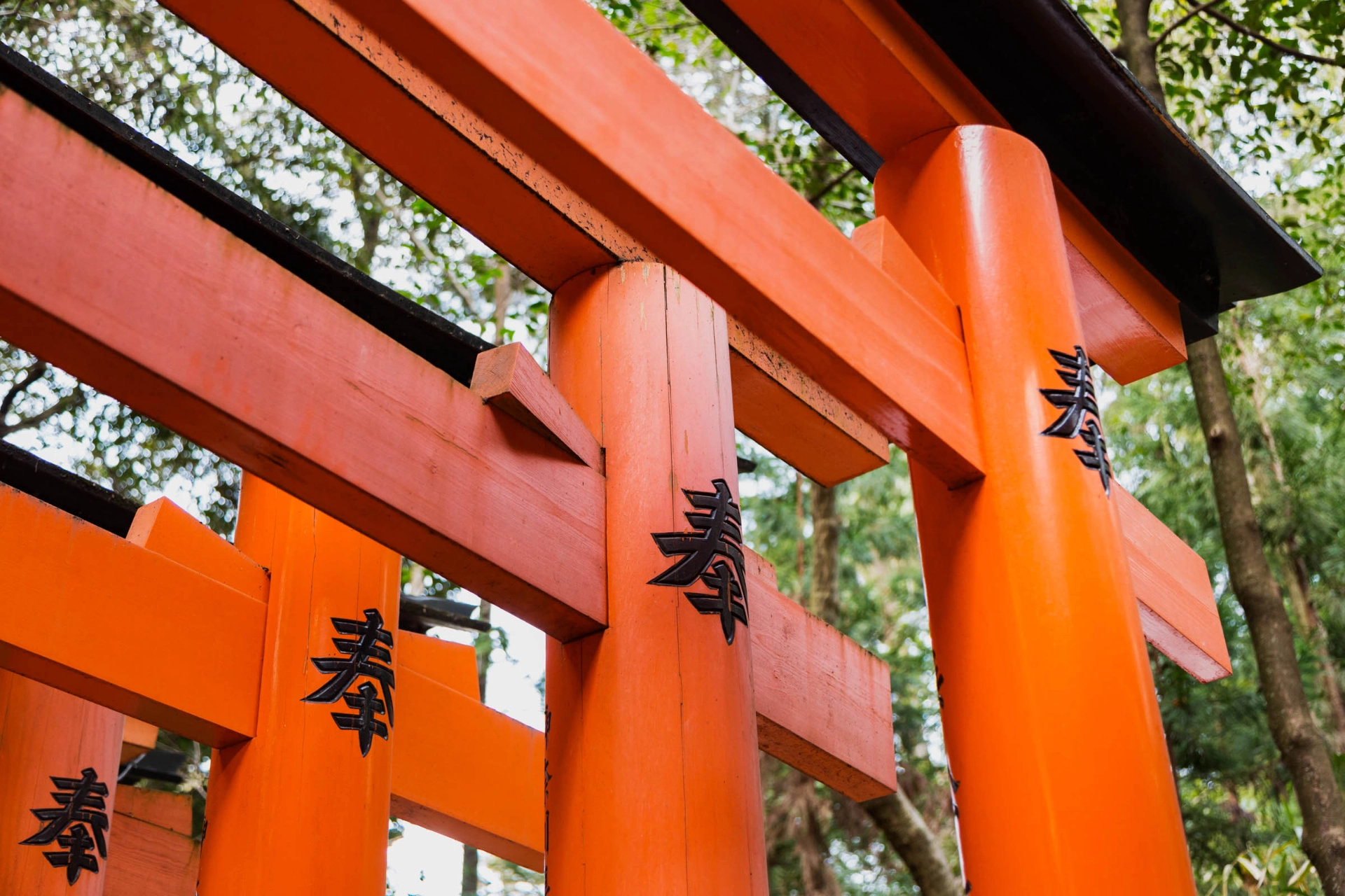 Torii-portar utgör ofta ingången till Shinto-helgedomar