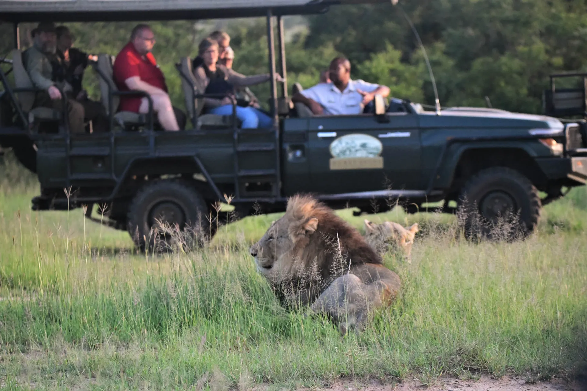 På safari i öppen jeep På safari i öppen jeep