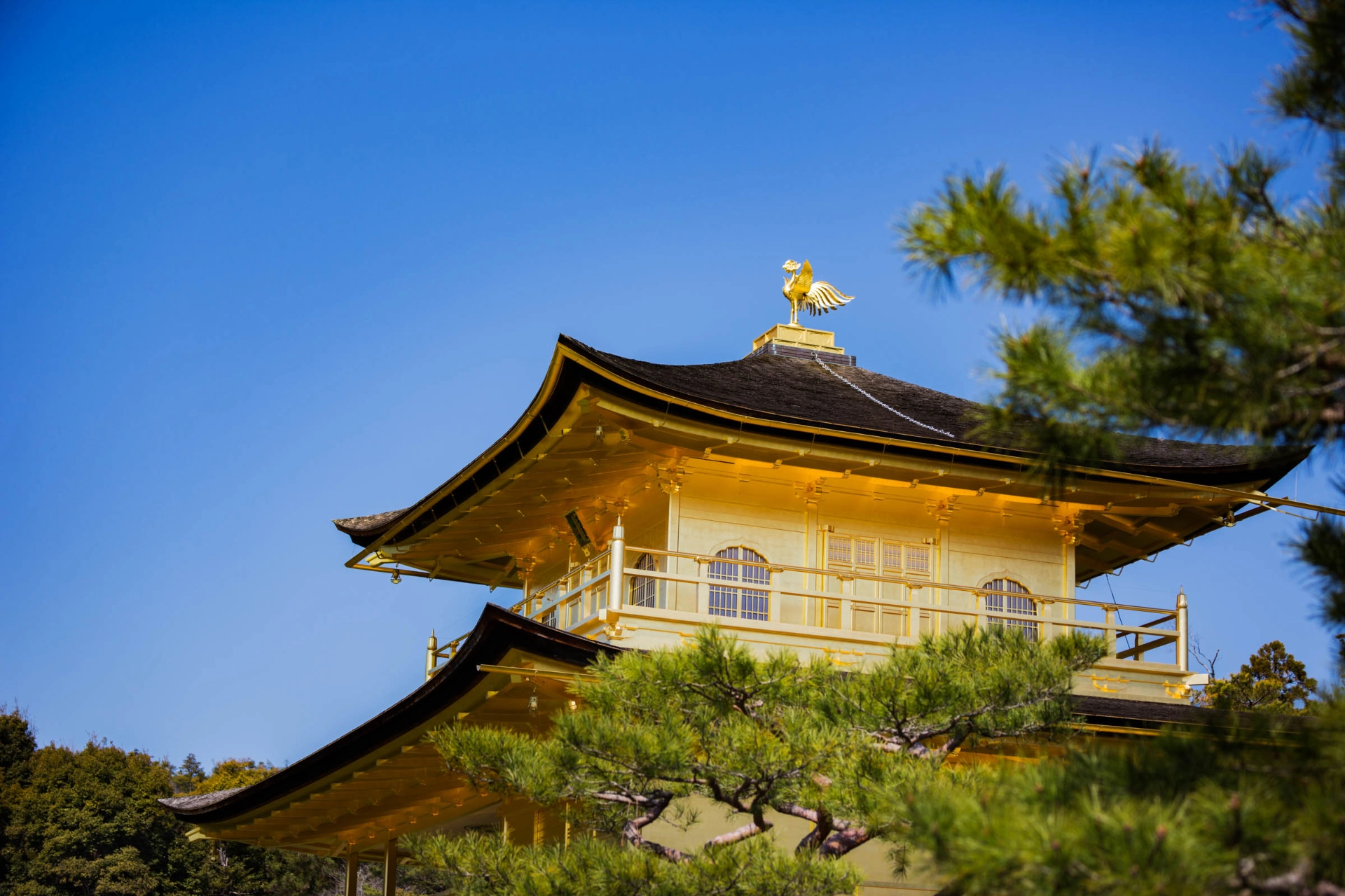 Toppen av det zenbuddhistiska Gyllene Templet