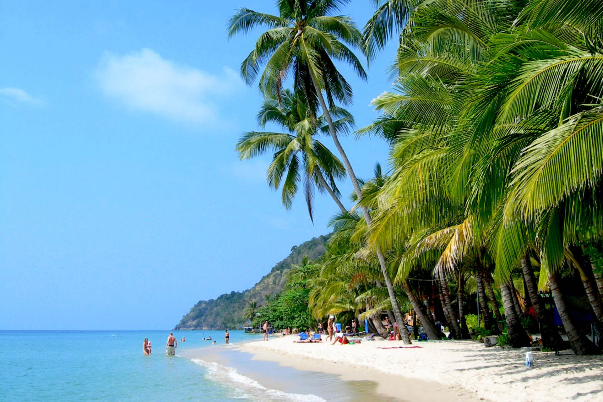 Den vita stranden och de många palmerna vid Koh Chang