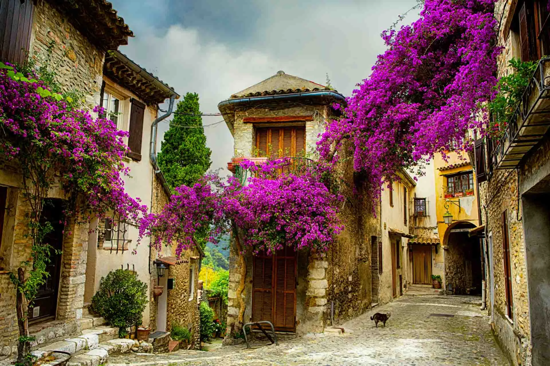Provence – medeltida by med bougainvillea