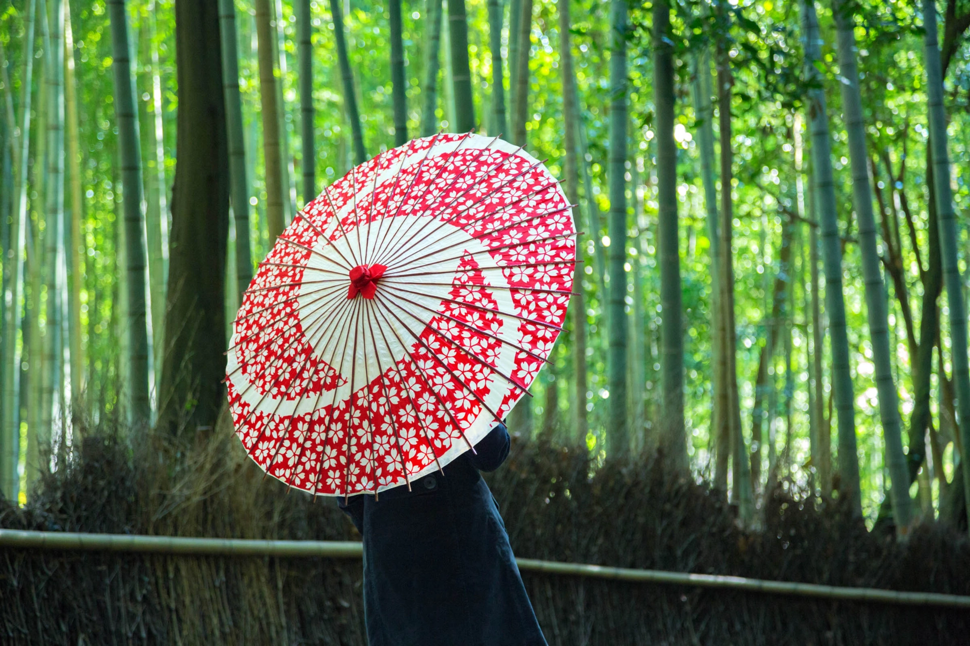 Bambuskog i Arashiyama