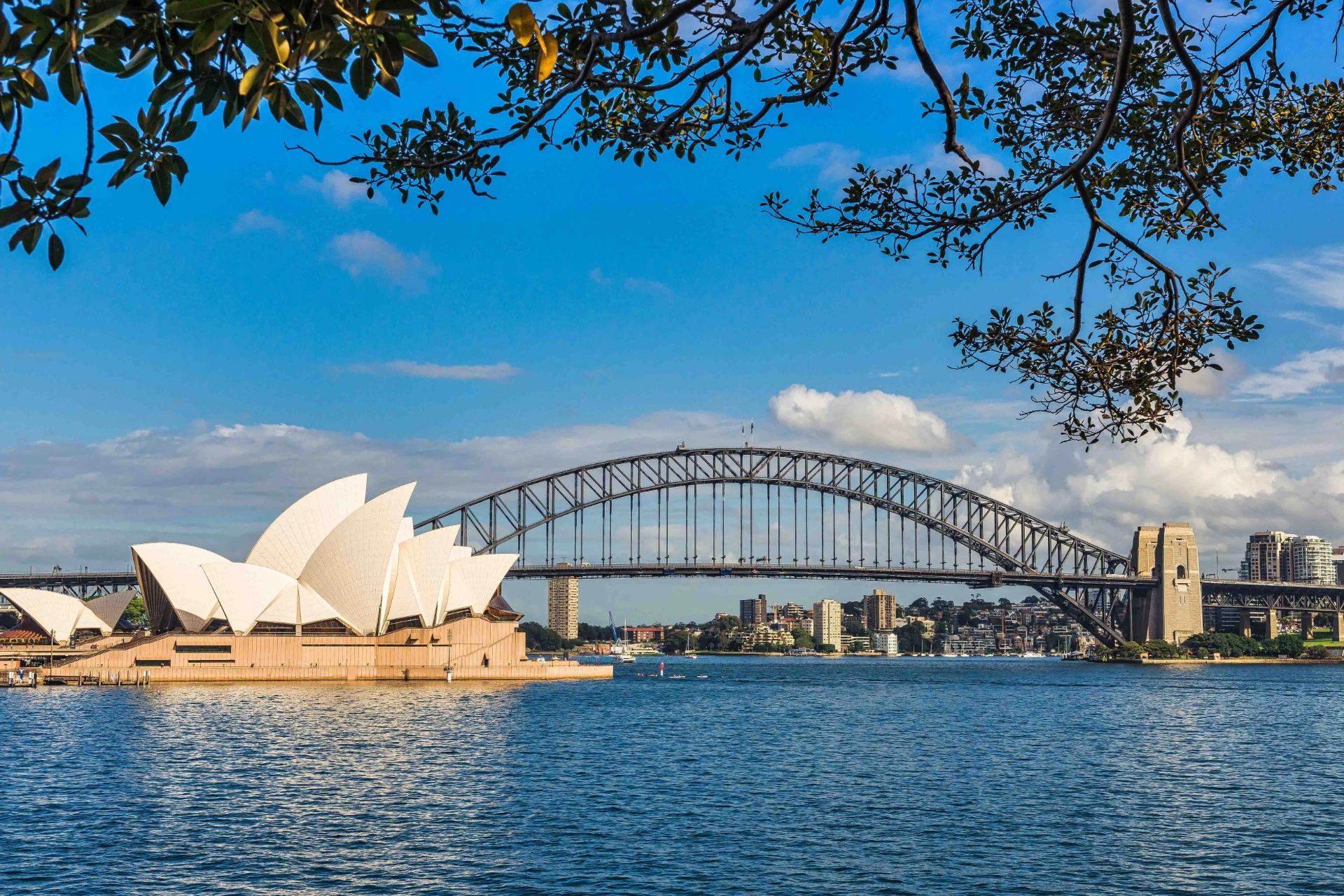 Vacker syn i Sydney