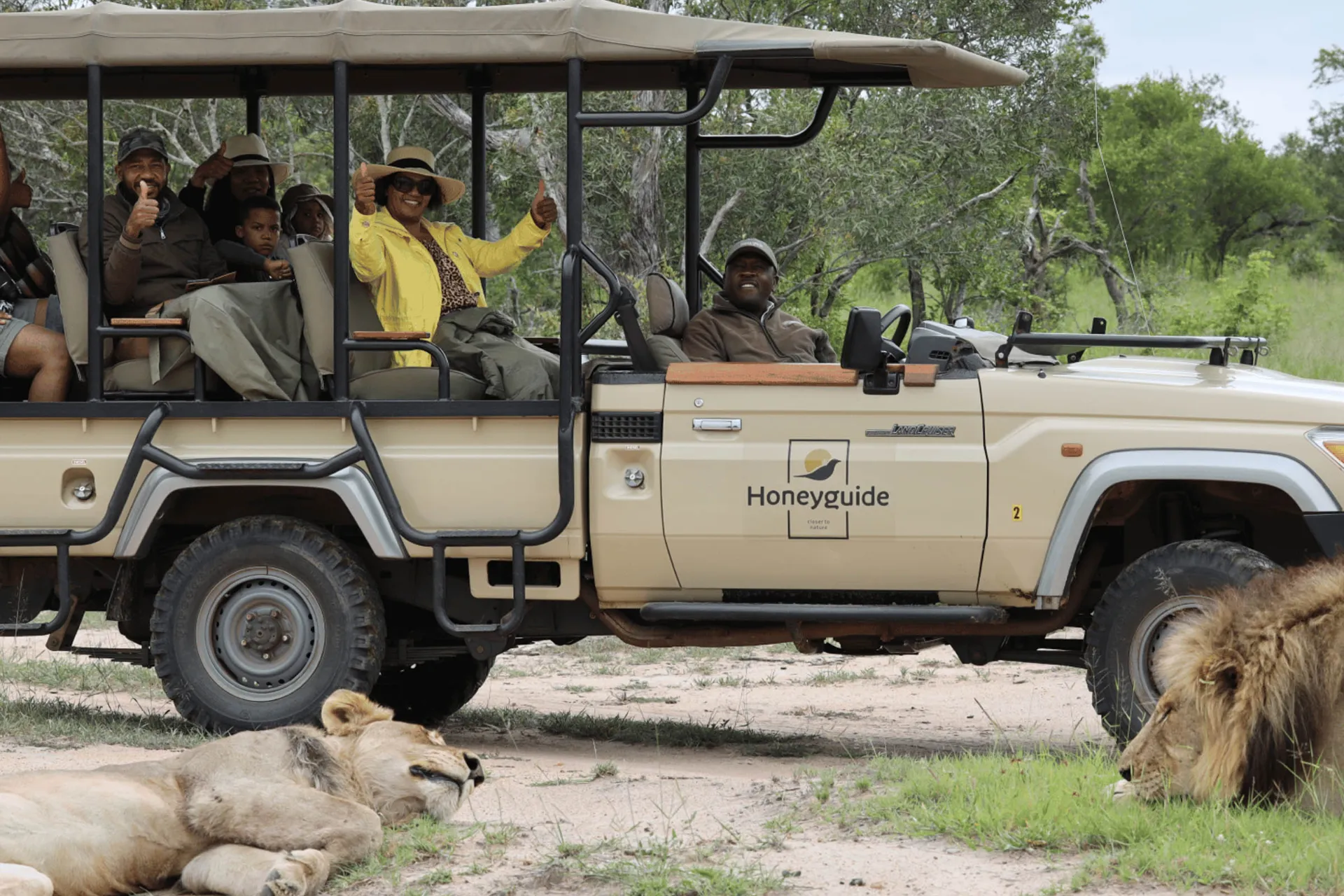 Vi sitter tryggt i jeepen medan rangern berättar om lejonet Vi sitter tryggt i jeepen medan rangern berättar om lejonet