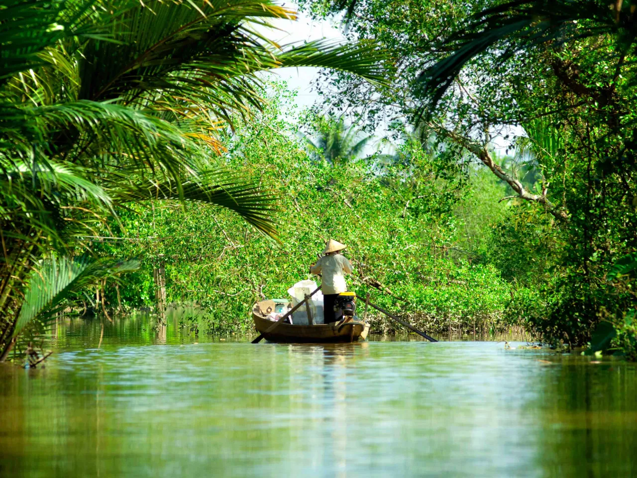 På båttur i det frodiga Mekongdeltat