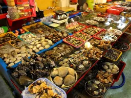 Skaldjursstånd på Jagalchi fiskmarknad i Busan