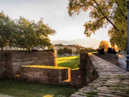 Stadsmurarna i Lucca i kvällssol Stadsmurarna i Lucca i kvällssol