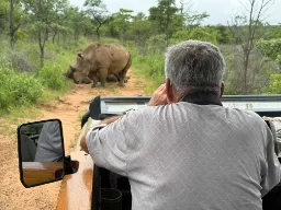 Noshörning på vägen