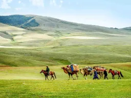 Kamelkaravan på den mongoliska stäppen