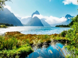 Milford Sound i Fiordland National Park med Mitre Peak i bakgrunden
