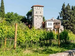 Tvrdoš-klostret – där historia och vin går hand i hand