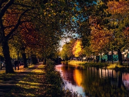 Höststämning vid kanal i Dublin