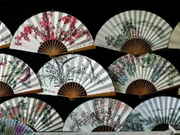 Kinesiska solfjädrar