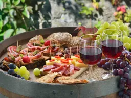 Italienska antipasti med vin och druvor Italienska antipasti med vin och druvor