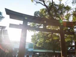 Shinto-helgedomen Meiji Jingu
