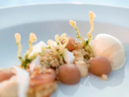 Elegant dessert – med mjukt och krispigt Elegant dessert – med mjukt och krispigt