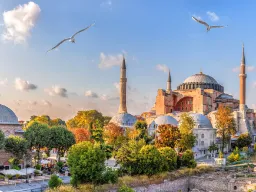Hagia Sofia i Istanbul badad i kvällssol, omgiven av minareter och gröna träd Hagia Sofia i Istanbul badad i kvällssol, omgiven av minareter och gröna träd