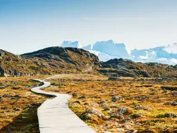 Trästig slingrar sig genom landskapet vid Ilulissat Trästig slingrar sig genom landskapet vid Ilulissat