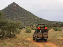 Albatros’ safarijeep på jobbet