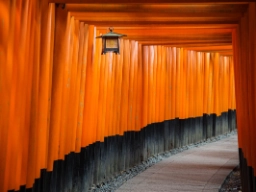 Torii-portar utgör ofta ingången till shintohelgedomar