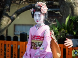 Gion är Kyotos mest kända geisha-distrikt