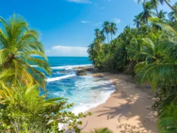 Orörd sandstrand vid Puerto Viejo Orörd sandstrand vid Puerto Viejo