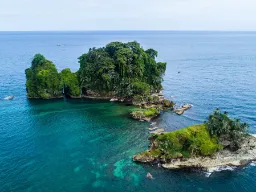 Bird Island vid Bocas del Toro har ett rikt fågelliv Bird Island vid Bocas del Toro har ett rikt fågelliv