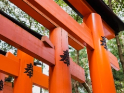 Torii-portar utgör ofta ingången till Shinto-helgedomar