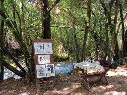 Vattenkvarnen vid floden Ljuta i Konavle – där naturens skönhet möter gamla traditioner