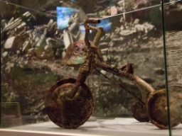 Detalj från Hiroshimas fredsmuseum