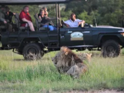 På safari i öppen jeep På safari i öppen jeep