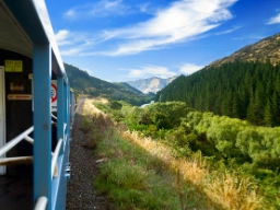 TranzAlpine-tåget i Nya Zeeland går mellan Christchurch och Greymouth