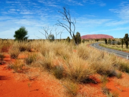 Ayers Rock ändrar färg efter solens gång