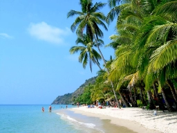 Den vita stranden och de många palmerna vid Koh Chang